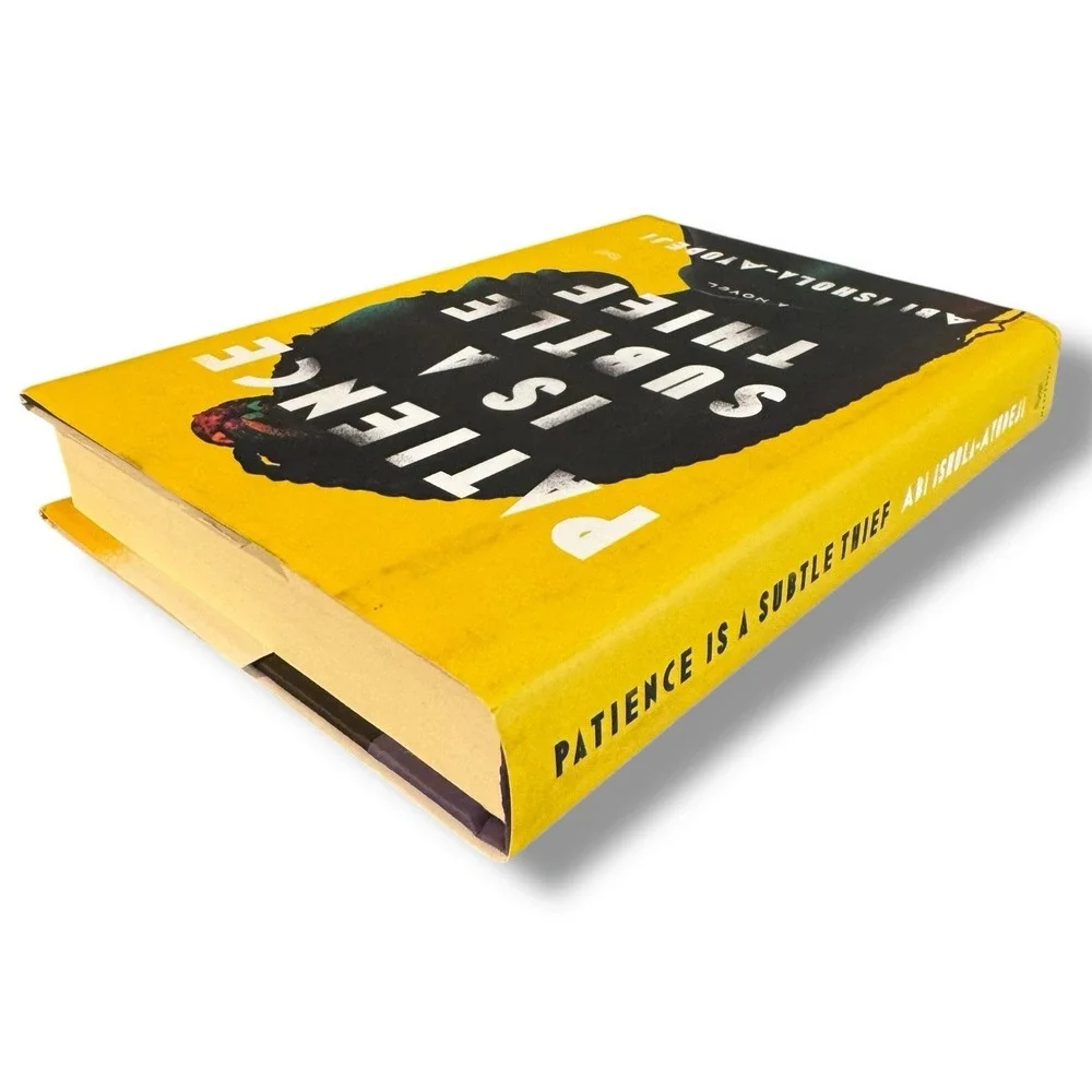 Patience Is a Subtle Thief: A Novel - Hardcover HD DJ By‎ Ishola-Ayodeji, Abi